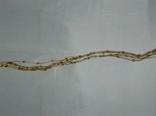 6 FILI PERLINE AMBRA CM.120