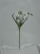PICK C/CAMPANELLINE BRINATE