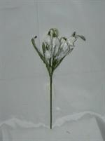 PICK C/CAMPANELLINE BRINATE