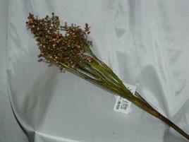 RAMO BACCHE CM.118 AMBRA GLITTER ORO