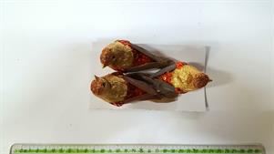 3 UCCELLINI CM.12 PIUME MARRONE     E PAILLETTE