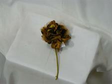 ROSA LOTUS PICK C/ORGANZA BROWN