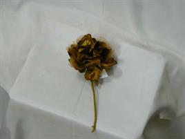 ROSA LOTUS PICK C/ORGANZA BROWN