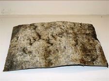 CORTECCIA BETULLA CM.21X34,5