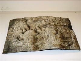 CORTECCIA BETULLA CM.21X34,5