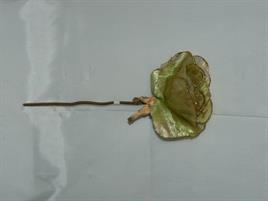 ROSA LACE PICK CM.28 GREEN-GOLD