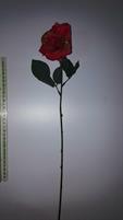ROSA KING MIDDLE RAMO CORAL