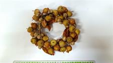 CORONA FRUTTA MIX JOY CM.17 GOLD
