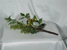 FICUS/BACCHE HEAVEN MIX PICK GREEN WHITE