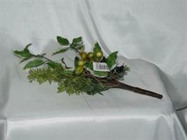 FICUS/BACCHE HEAVEN MIX PICK GREEN WHITE