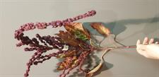 AMARANTUS CADENTE RAMO H125 PURPLE