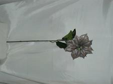 STELLA NATALE C/LUSTRINI H70 LT.GREY