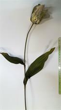 TULIPANO VELVET RAMO H70 OLIVE