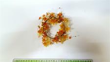 CORONCINA GEMME E FIORI ORO CM.15
