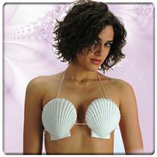 Reggiseno conchiglie in busta c/cav .