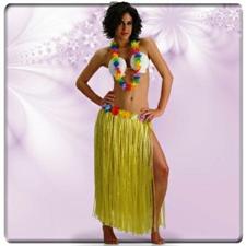 Set Hawaii (reggiseno conchiglia,co llana, gonna c/fiori) in bus