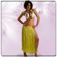 Set Hawaii (reggiseno conchiglia,co llana, gonna c/fiori) in bus