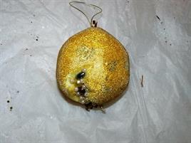 2 MELOGRANI ORO