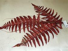 RAMO FOGLIE RED