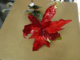 POINSETTIA CM.70 RED GREEN