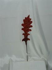 FOGLIA ACANTHUS RED/BURGUNDY