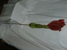 GIGLIO GIGANTE RED/BURGUNDY