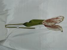 GIGLIO GIGANTE TAUPE IVORY PLATINUM GOLD