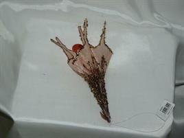 FIORE A CAMPANA BROWN/BLUSH