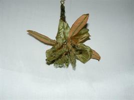 CAMPANA GREEN/COPPER