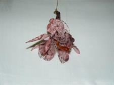 CAMPANA CHOCOLATE/MAUVE
