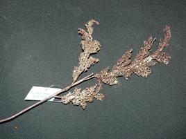 PICK ACANTHUS IVORY BROWN GOLD