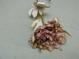 PEONIA MAUVE COFFEE