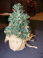 ALBERO CM.20 BASE C/SACCO