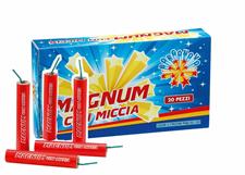 X10 - Magnum pz.20