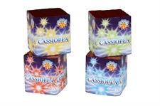 Cassiopea