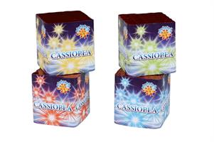 Cassiopea